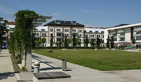 Beckett Flügel, Kassel